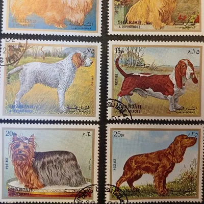 Lot Timbres les chiens 🐶 nickel 